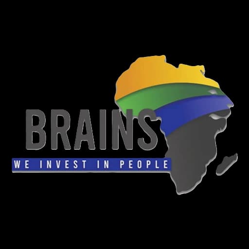 BRAINS mobility programme identity